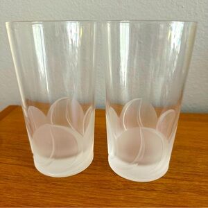 Set of 2 Vintage Highball Glasses - JG Durand - France